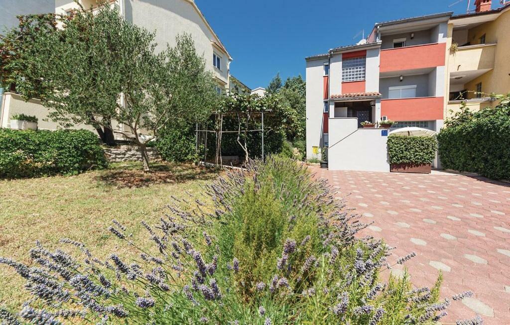 Apartments Veda PUY Exterior foto